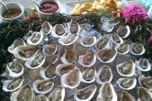 Pemaquid oysters