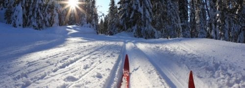 Cross-Country Ski in Maine’s Parks and Preserves