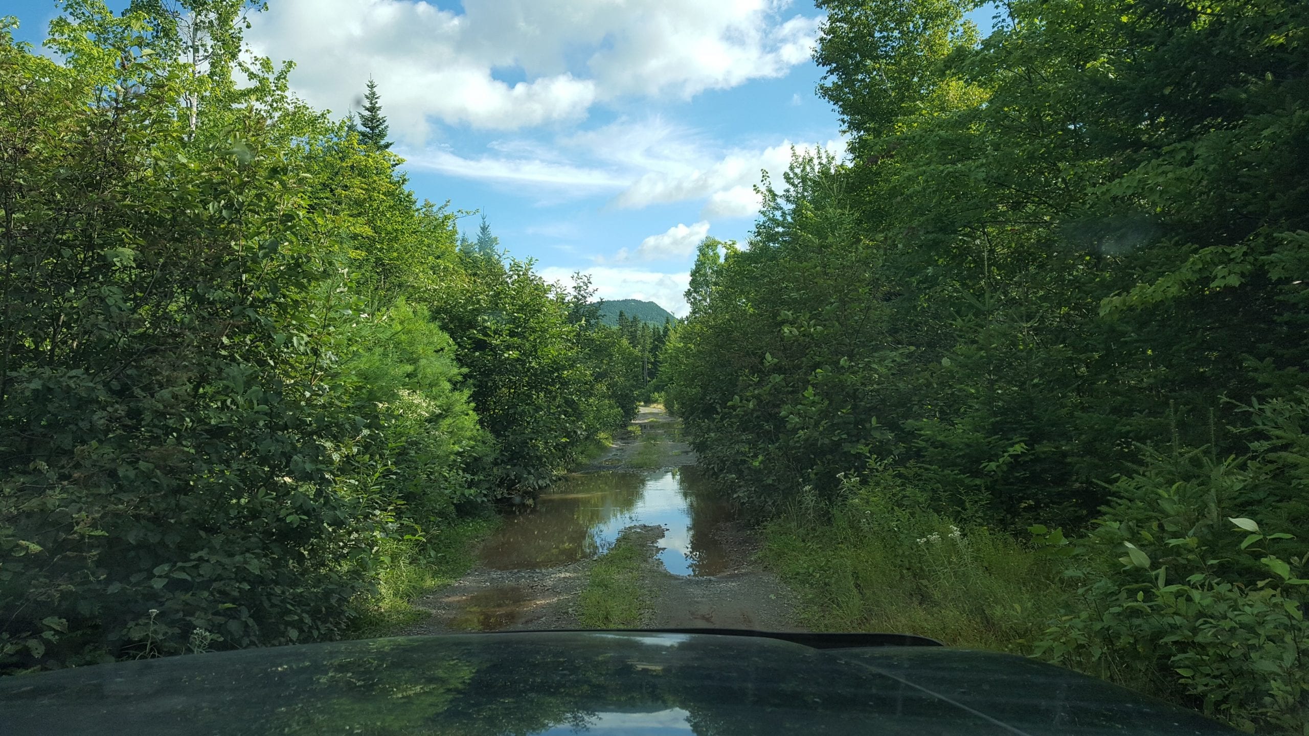 Flooded dirt road to Shin Brook Falls.