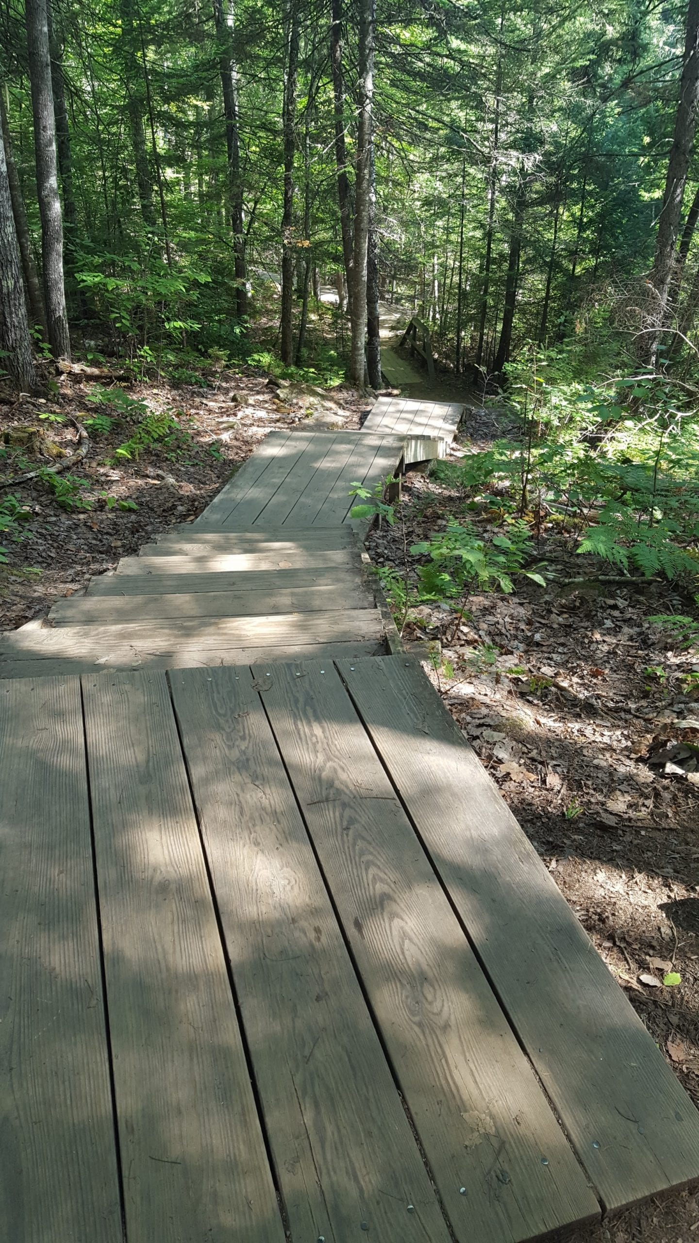 There are several boardwalks and sets of wooden stairs on the way to Moxie Falls.