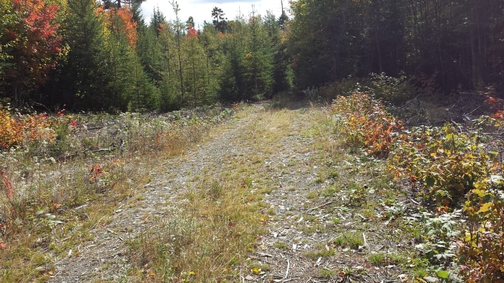 How to find the Abandoned of the Eagle Lake & West Branch