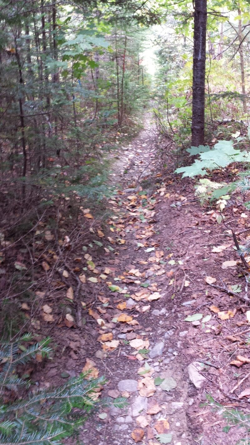 How to find the Abandoned of the Eagle Lake & West Branch