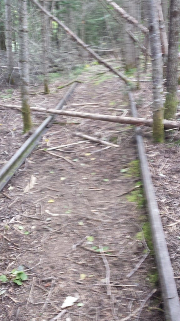 How to find the Abandoned of the Eagle Lake & West Branch