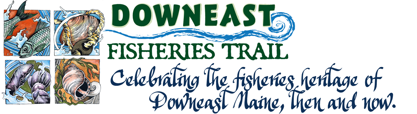 Explore Maine’s Downeast Fisheries Trail