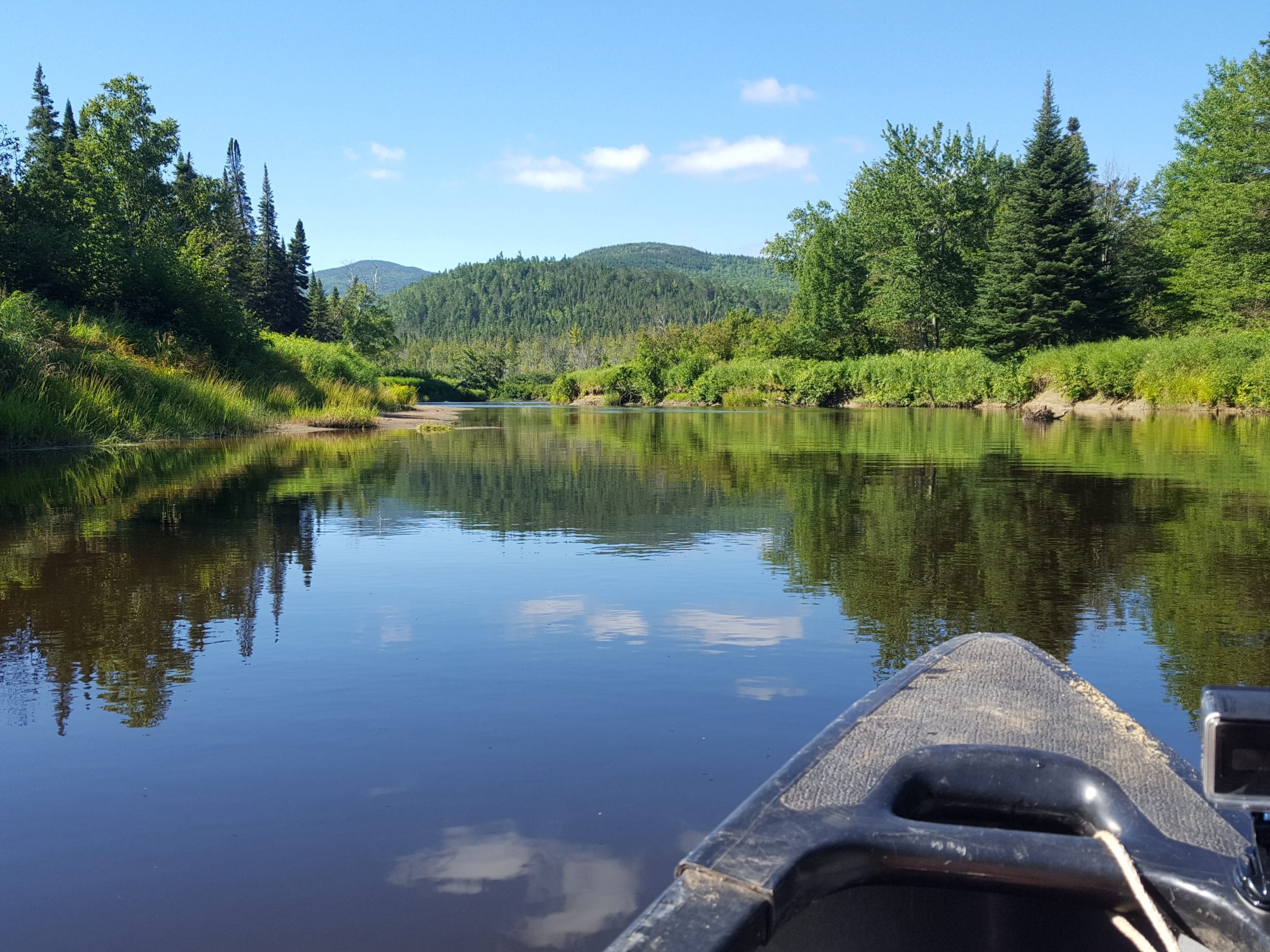 Canoeing the Moose River Loop | Bow Trip: Day 3, Part Two