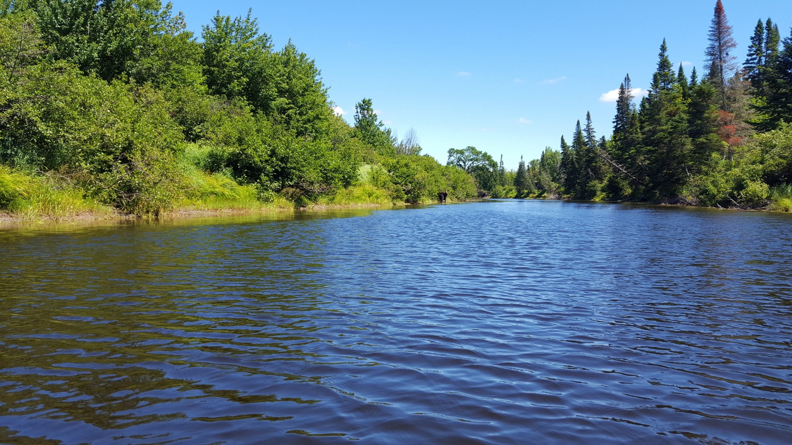Canoeing the Moose River Loop Bow Trip Day 3, Part Two UNTAMED Mainer