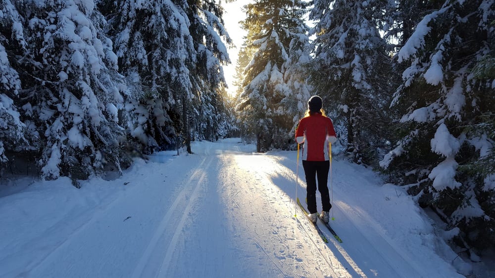 Scenic Maine Parks for Cross-Country Skiing (XC-Ski)