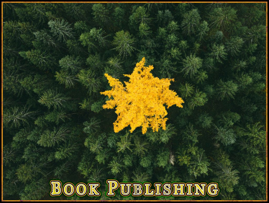 Untamed Mainer Book Publishing
