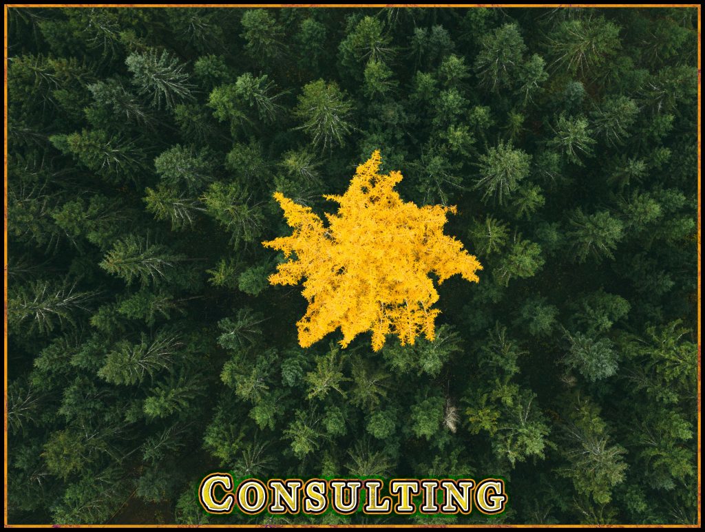 Untamed Mainer Consulting