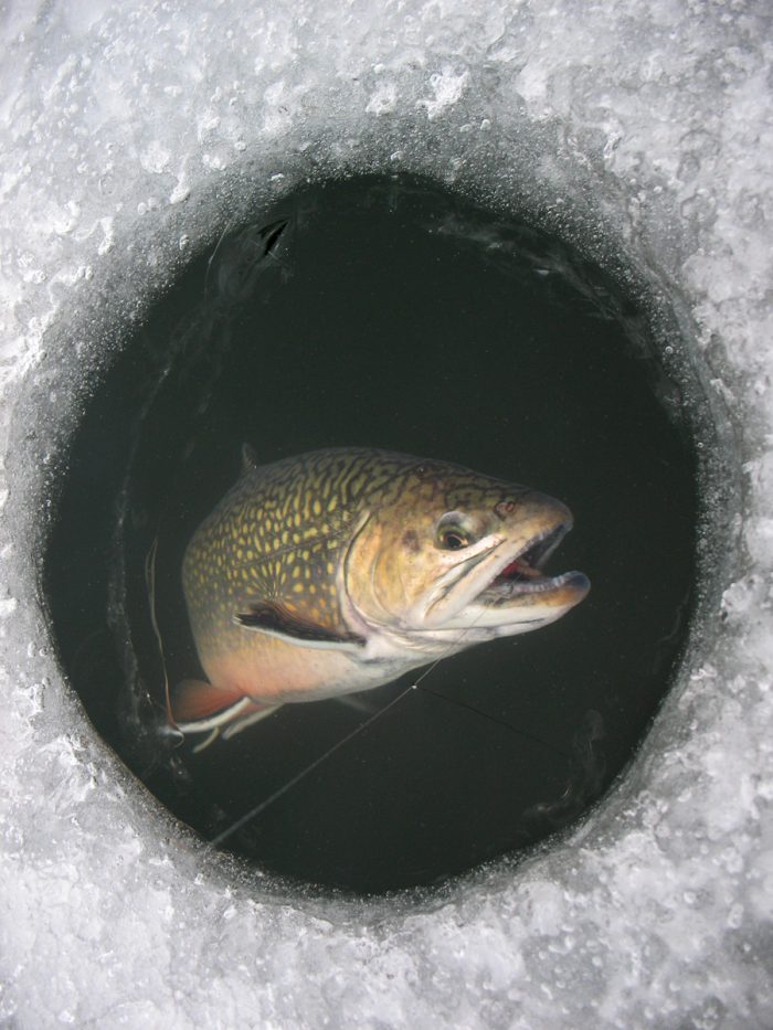 Maine Ice Fishing Derbies 2024 » UNTAMED Mainer